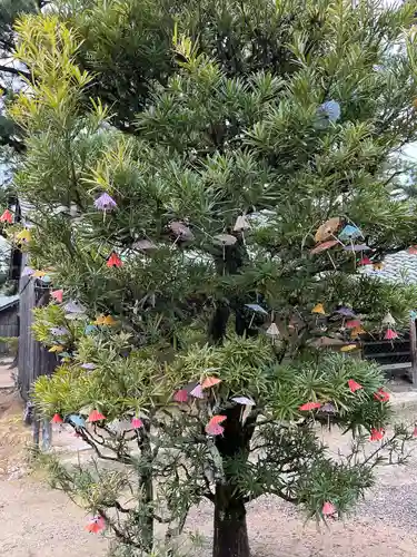 松陰神社の建物その他