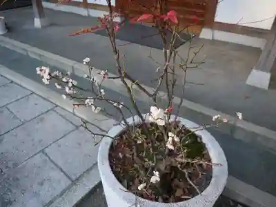 平塚神社のその他建物