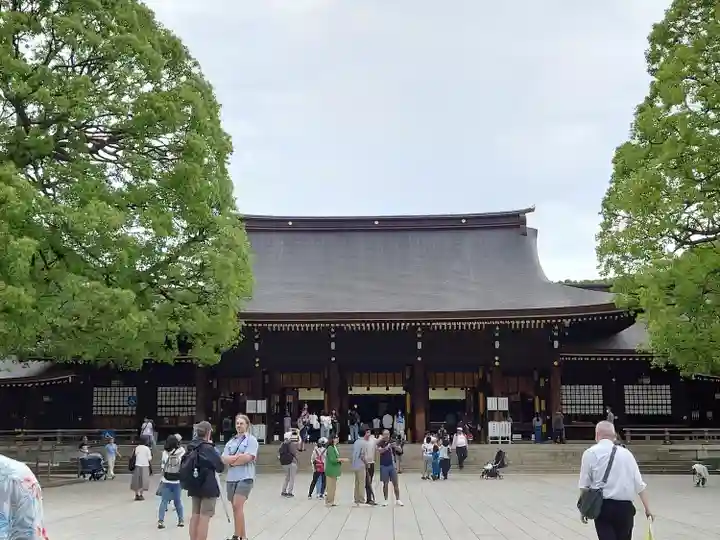 明治神宮(東京都)