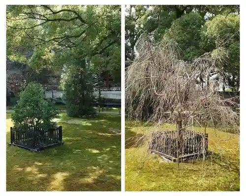 青蓮院門跡(京都府)
