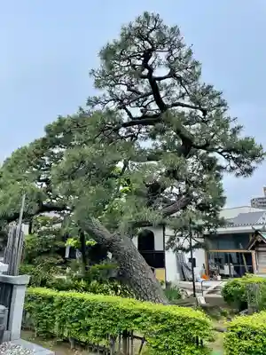 安養院(東京都)