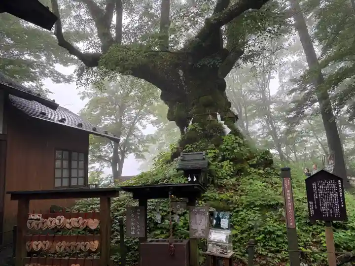 熊野皇大神社(長野県)