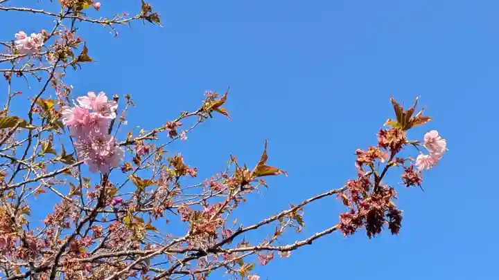 儀光寺(愛媛県)