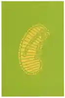 大宝寺(愛媛県)