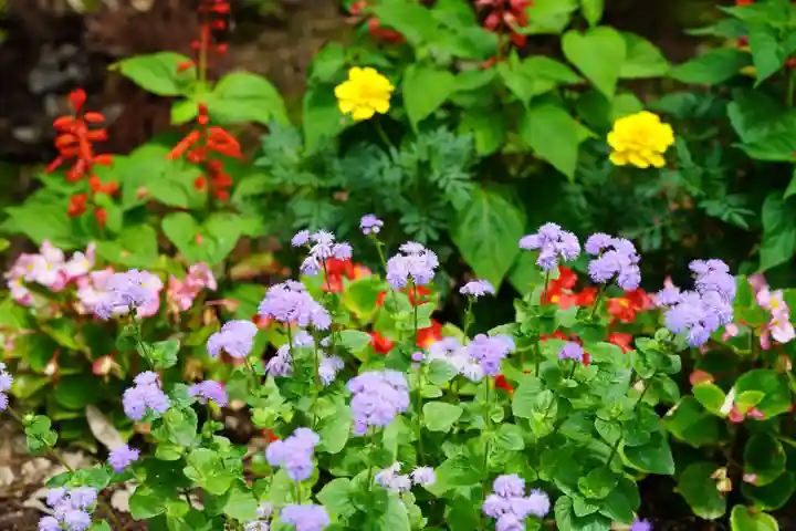 隠津島神社の庭園