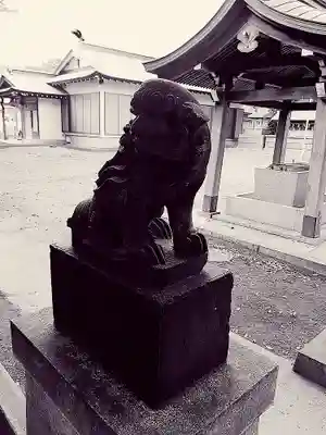 氷川神社の狛犬