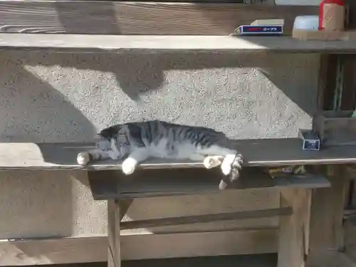 八大龍王本殿(岐阜県)