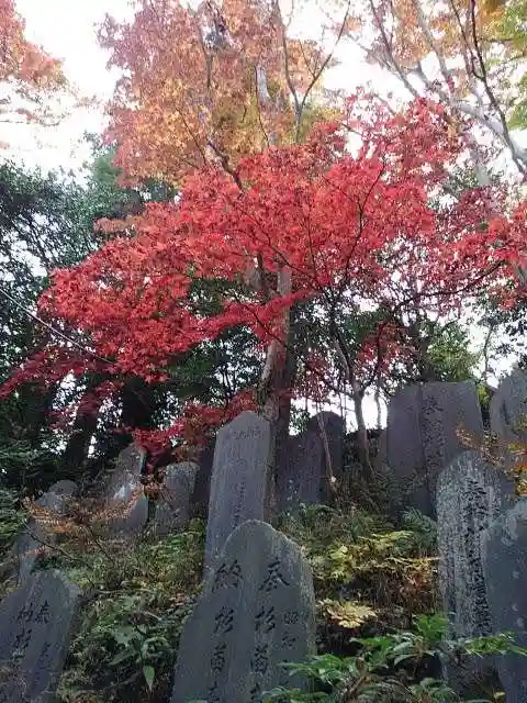 高尾山薬王院の庭園