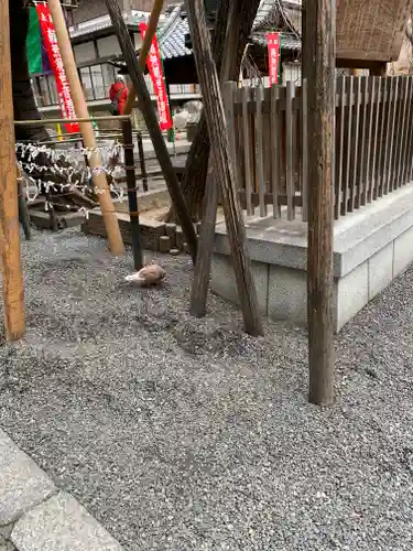 頂法寺（六角堂）(京都府)