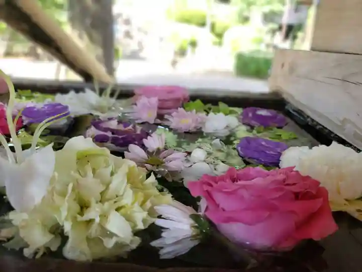 鳩森八幡神社の手水舎