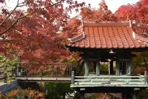 来迎寺(山口県)