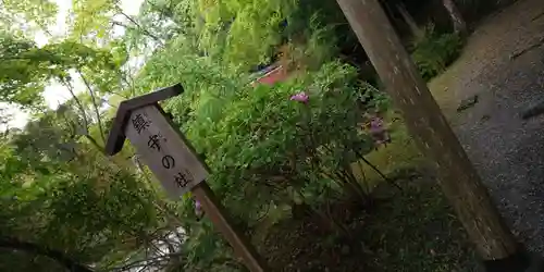 出雲大神宮(京都府)