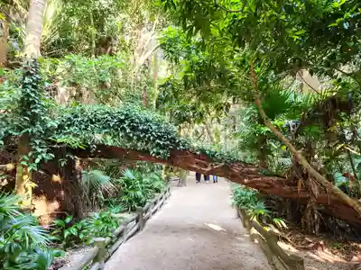 青島神社（青島神宮）の自然