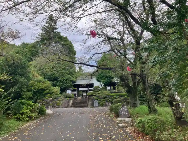 玉泉寺(東京都)