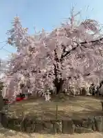 観音神社の{uncategorized: "未分類", other: "その他", undefined: "問題あり", building: "その他建物", grave: "お墓", sacred_gate: "鳥居", guardian: "狛犬", statue: "像", buddha: "仏像", history: "歴史", nature: "自然", garden: "庭園", animal: "動物", pagoda: "塔", temizu: "手水舎", mountain_gate: "山門・神門", sanctuary: "本殿・本堂", subordinate: "末社・摂社", art: "芸術", scenery: "景色", jizo: "地蔵", ema: "絵馬", goshuin: "御朱印", omikuji: "おみくじ", items: "授与品その他", amulet: "お守り", goshuincho: "御朱印帳", eats: "食事", festival: "お祭り", votive_dance: "神楽", shichigosan: "七五三参", wedding: "結婚式", experience: "体験その他", initially: "初詣", around: "周辺", anti_infection: "感染症対策"}
