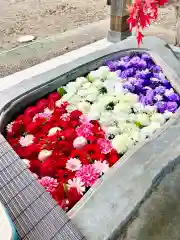 鹿島台神社(宮城県)