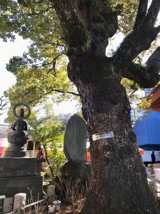 西新井大師総持寺(東京都)