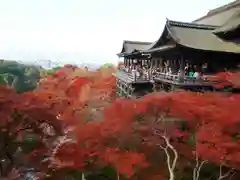 清水寺の建物その他