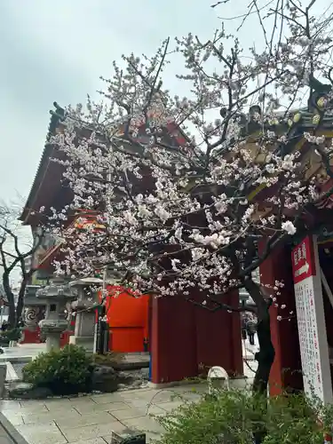神田神社（神田明神）(東京都)