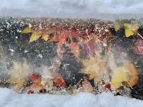 成田山大照寺(北海道)