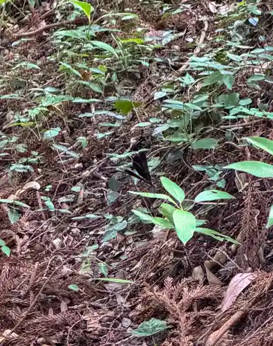 宮道天神社(愛知県)