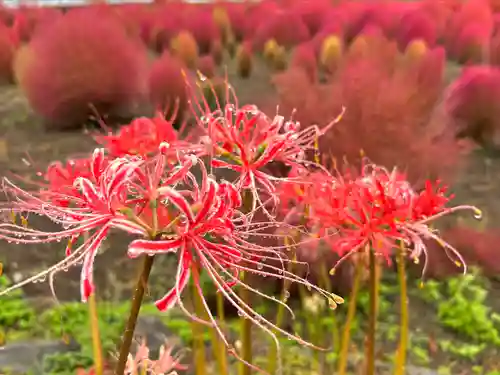 遠照寺(山梨県)