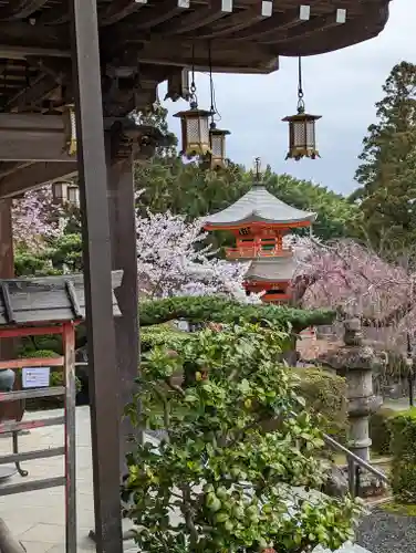 正法寺(京都府)