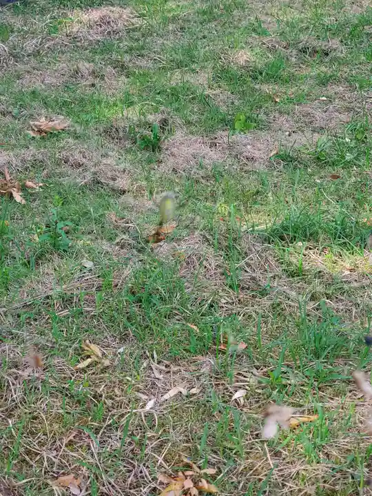 宮内助神社(長野県)