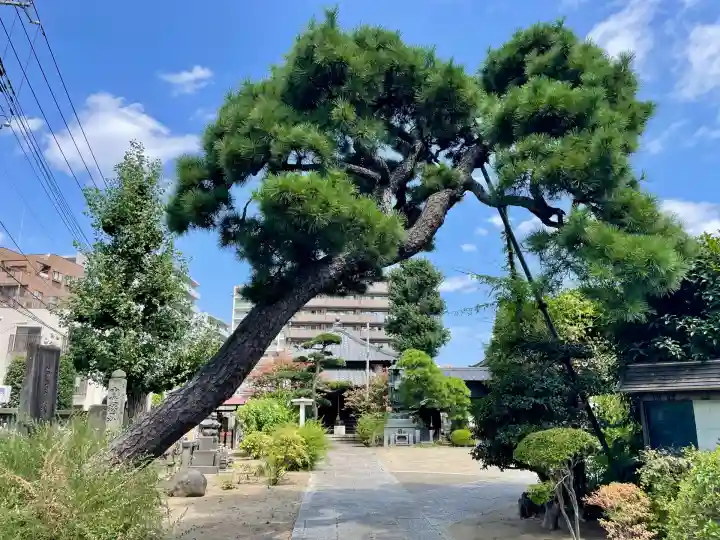 吉祥寺(千葉県)