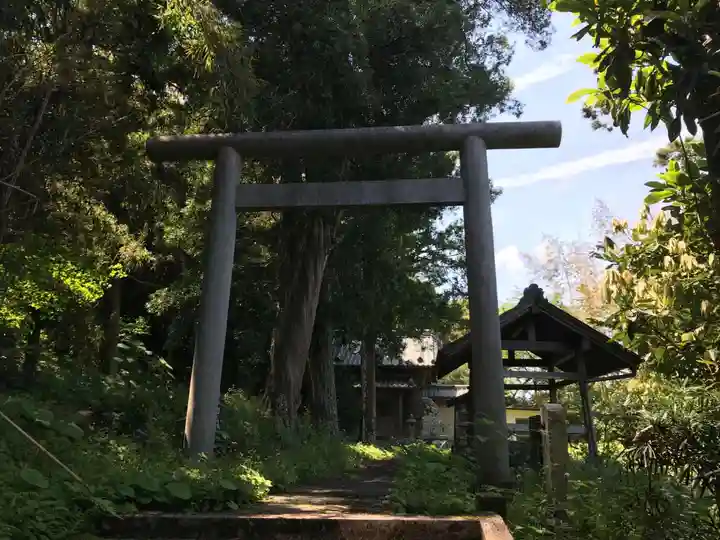 八幡神社の鳥居
