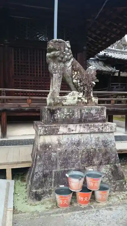 向日神社の狛犬