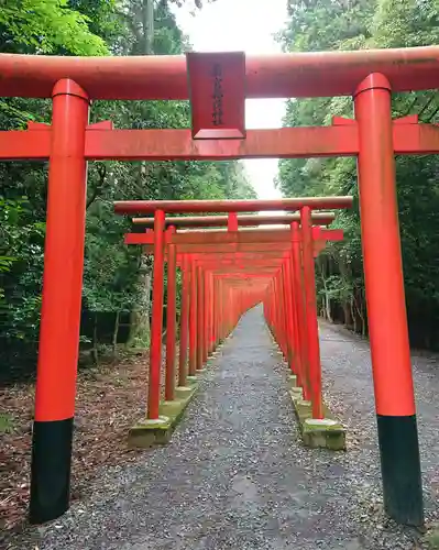 美濃國一宮　南宮大社の鳥居