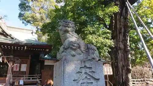 八雲氷川神社の狛犬