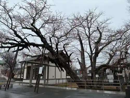 豊受神社(千葉県)