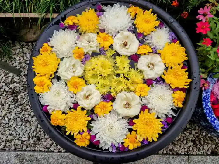 埼玉厄除け開運大師・龍泉寺(切り絵御朱印発祥の寺)(埼玉県)