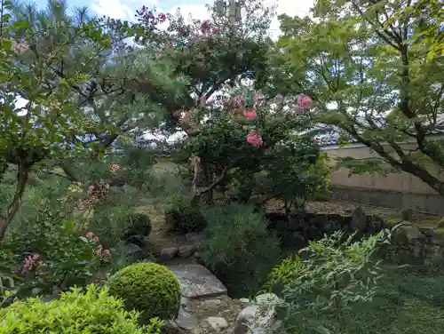 神光院(京都府)