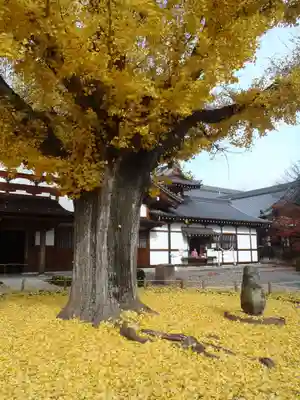 永保寺(岐阜県)