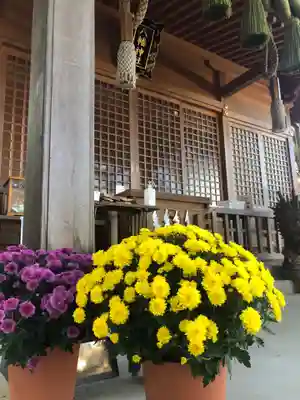 糀谷八幡宮の本殿・本堂