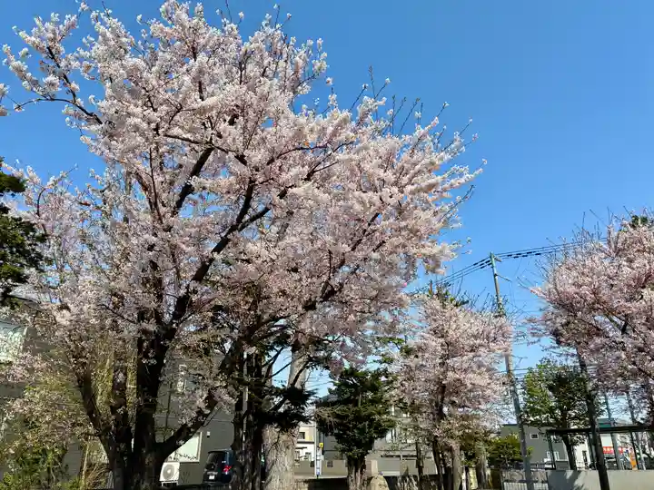 苗穂神社(北海道)