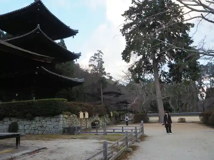 園城寺(三井寺)の本殿・本堂