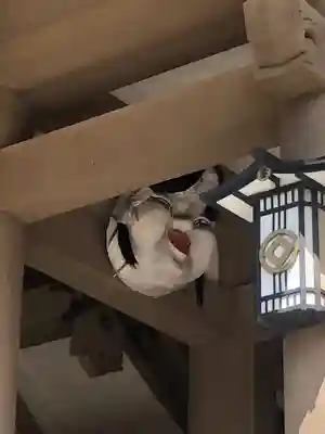 和霊神社(愛媛県)