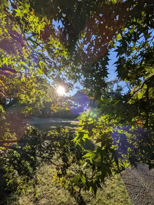 福蔵院(東京都)