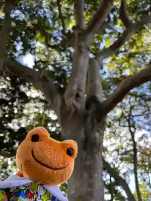 堀出神社(茨城県)