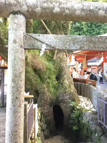 熊野那智大社の鳥居