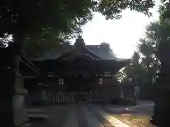 滝野川八幡神社の本殿