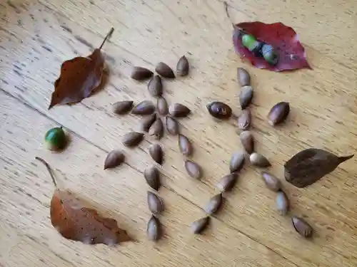 明治神宮(東京都)