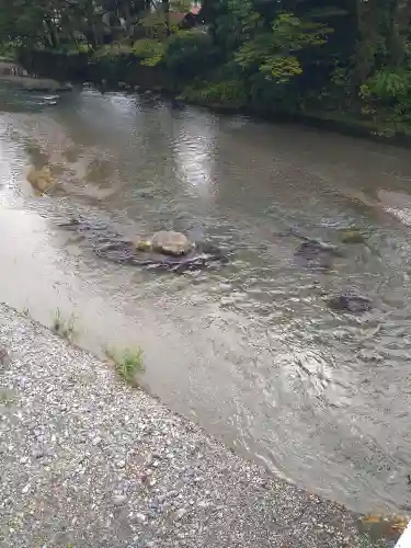 廣徳寺(東京都)