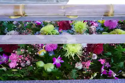 豊景神社の手水舎