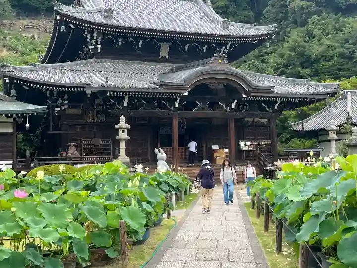 三室戸寺(京都府)
