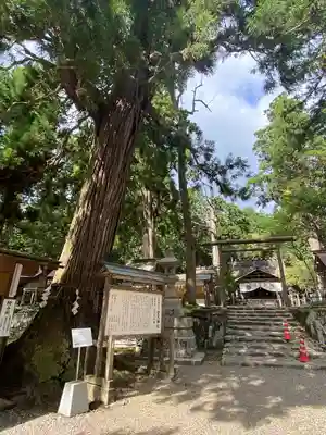元伊勢内宮 皇大神社(京都府)
